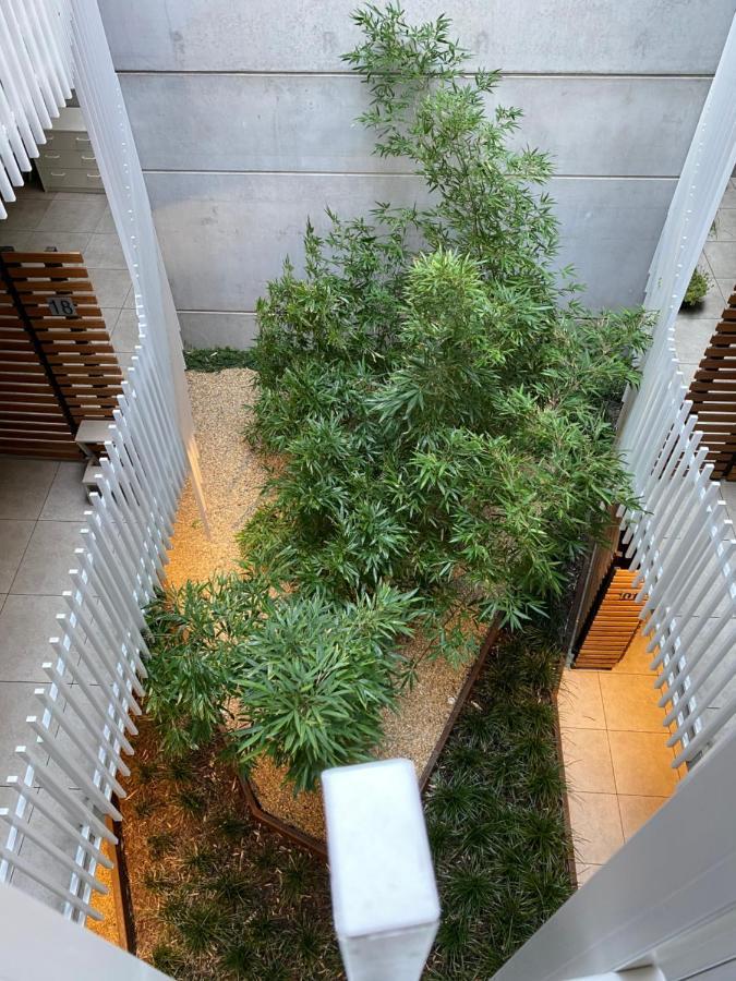 The Gallery Luxe 1 Bedroom Executive Apartment In The Heart Of Braddon Wine Secure Parking Wifi Канберра Екстер'єр фото